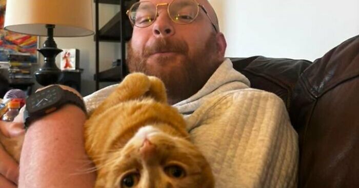 35 Pet Owners Share Their Orange Cats That Could Almost Pass As Their Real Family Members