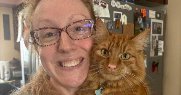 35 Pet Owners Share Their Orange Cats That Could Almost Pass As Their Real Family Members