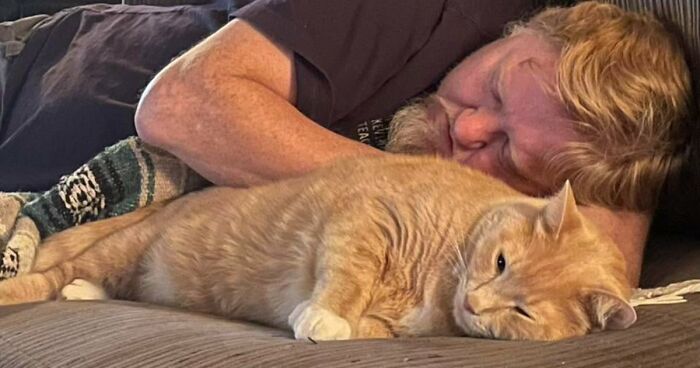 35 Pet Owners Share Their Orange Cats That Could Almost Pass As Their Real Family Members