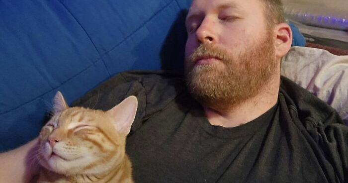35 Pet Owners Share Their Orange Cats That Could Almost Pass As Their Real Family Members