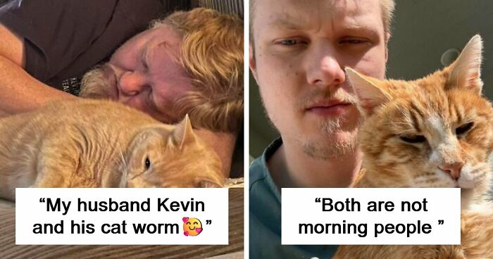 35 Pet Owners Share Their Orange Cats That Could Almost Pass As Their Real Family Members