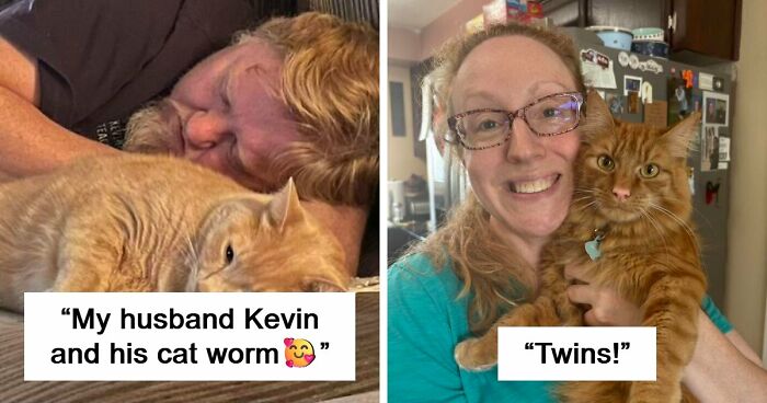 35 Pet Owners Share Their Orange Cats That Could Almost Pass As Their Real Family Members