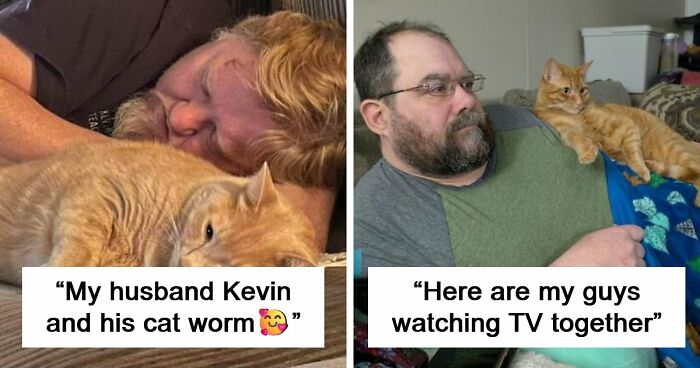35 Pet Owners Share Their Orange Cats That Could Almost Pass As Their Real Family Members