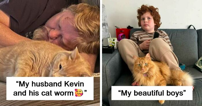 35 Pet Owners Share Their Orange Cats That Could Almost Pass As Their Real Family Members