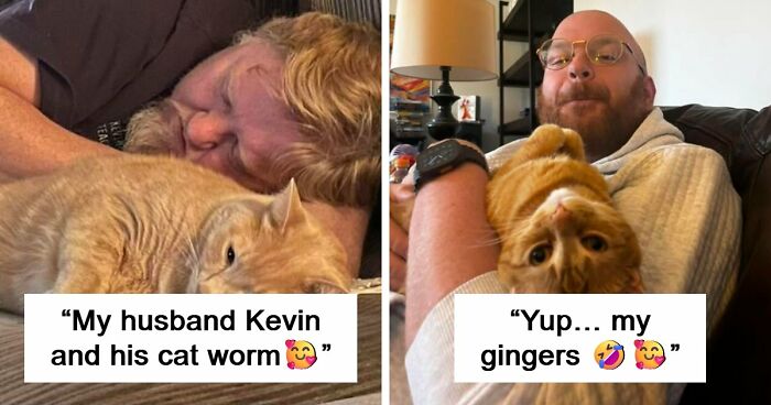 35 Pet Owners Share Their Orange Cats That Could Almost Pass As Their Real Family Members