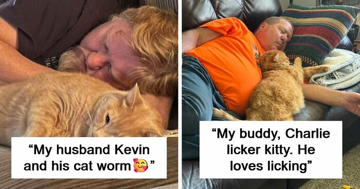 35 Pet Owners Share Their Orange Cats That Could Almost Pass As Their Real Family Members