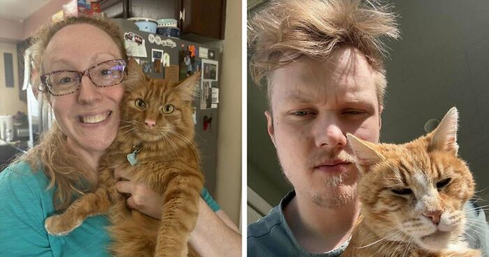 35 Pet Owners Share Their Orange Cats That Could Almost Pass As Their Real Family Members