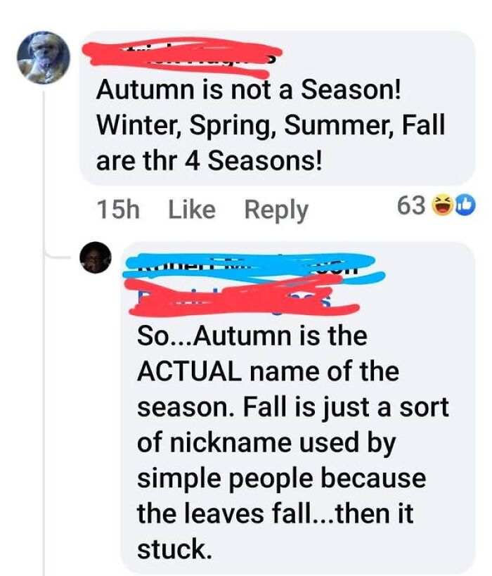 A screenshot showing confused Americans debating whether Autumn is a season or just a nickname.