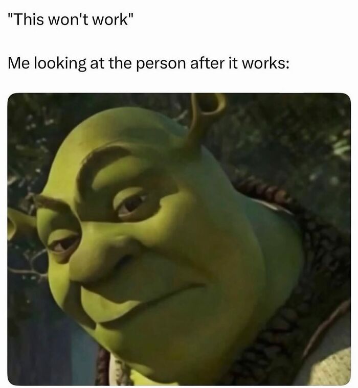 Hilarious meme of Shrek smirking, relatable to when something unexpectedly works.