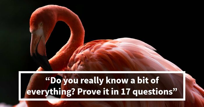 “Can Your General Knowledge Go Beyond Random Guesses?”: Prove It In This 50-50 Quiz