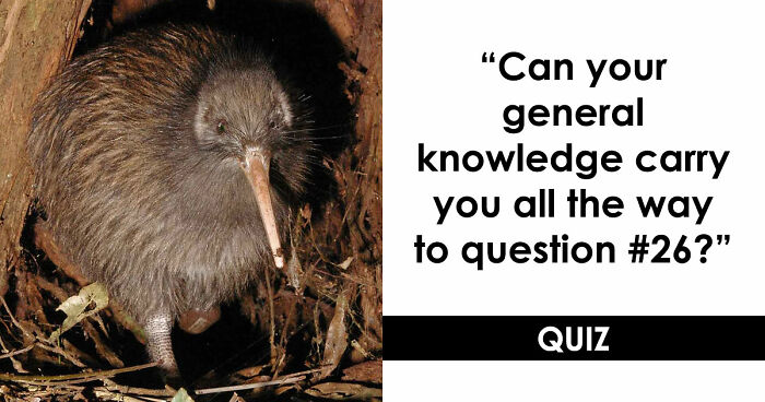 26 Mixed General Knowledge Questions That Humble Even Trivia Fans – Take The Quiz