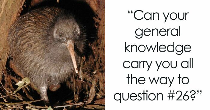 26 Mixed General Knowledge Questions That Humble Even Trivia Fans – Take The Quiz