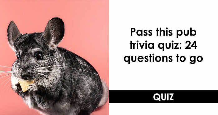 “Could You Handle A Real Pub Quiz?”: Test Your General Knowledge With These 24 Questions