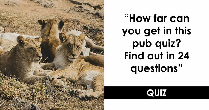 “Could You Handle A Real Pub Quiz?”: Test Your General Knowledge With These 24 Questions