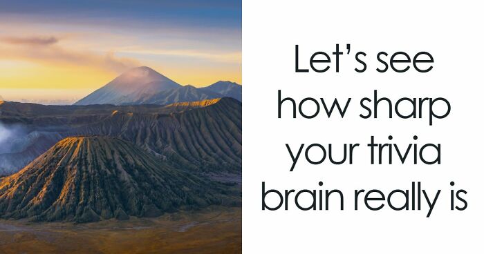 “Could You Handle A Real Pub Quiz?”: Test Your General Knowledge With These 24 Questions