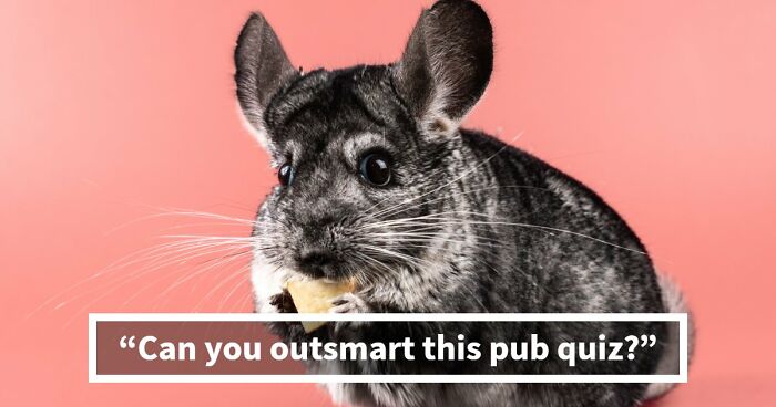 “Could You Handle A Real Pub Quiz?”: Test Your General Knowledge With These 24 Questions