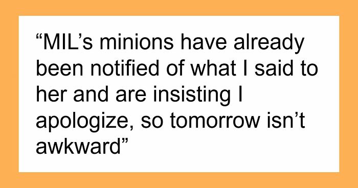 Frustrated Woman Finally Matches Her MIL’s Energy, Now The Whole Family Wants An Apology
