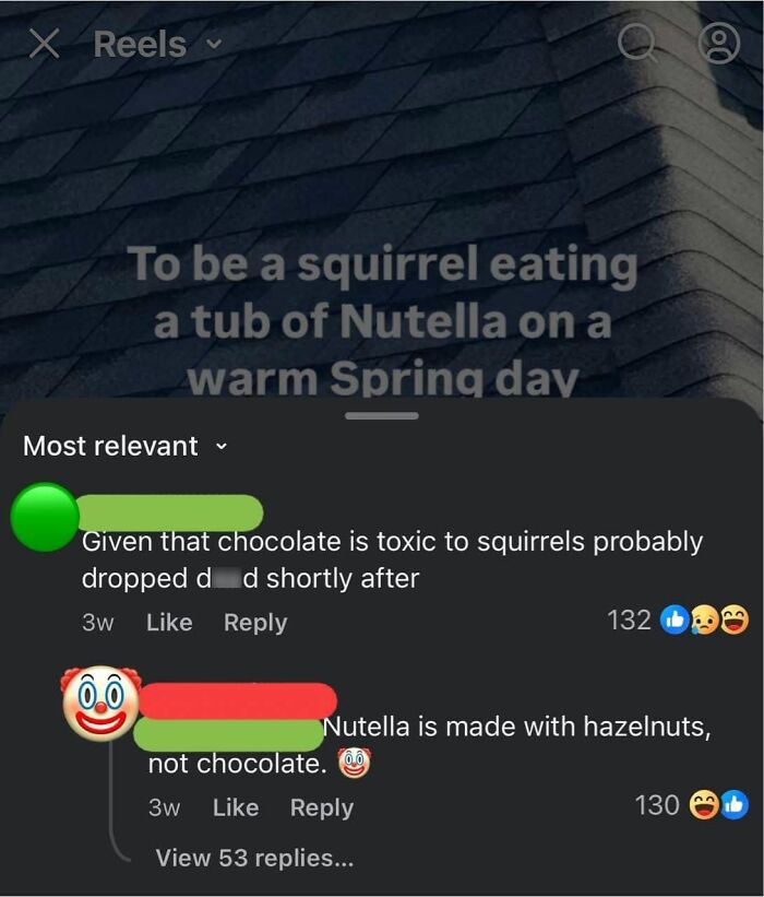 A screenshot showing someone correcting someone online about Nutella's ingredients.