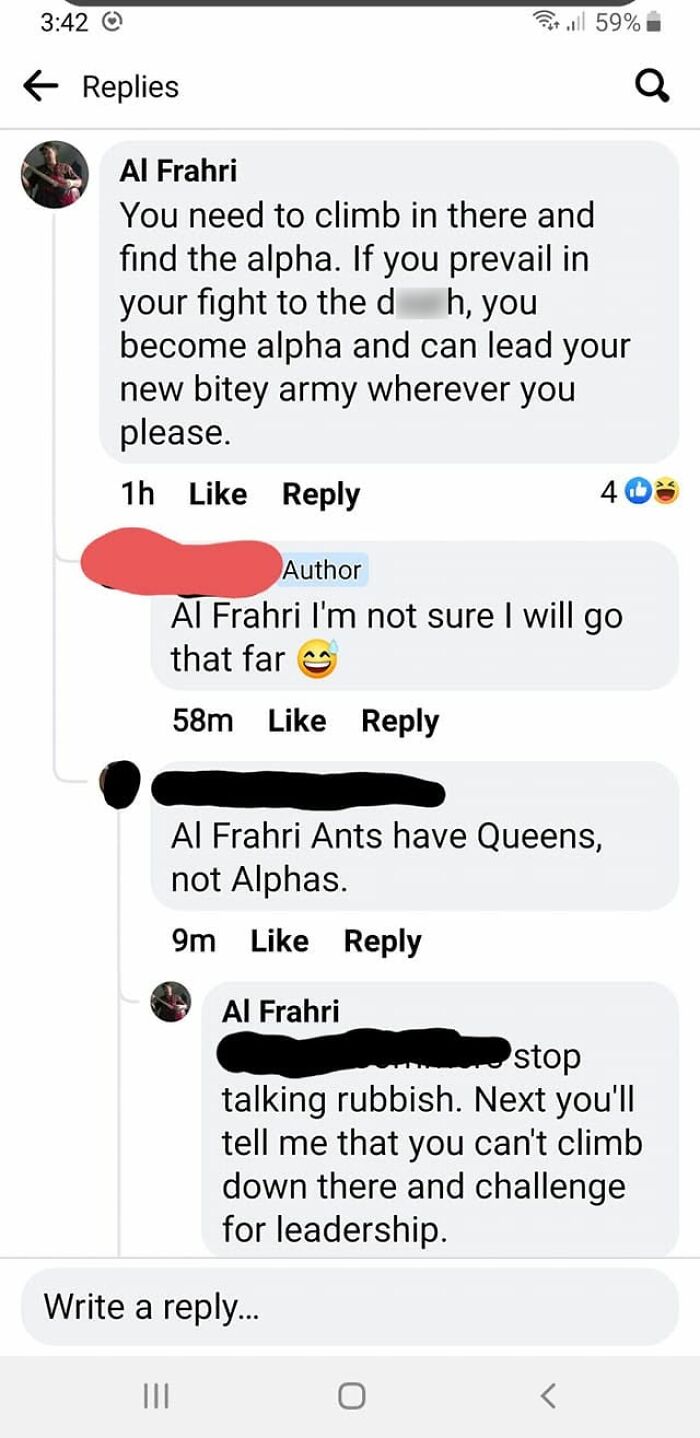 Satisfying correction online: a user mistakenly refers to ant leaders as Alphas, corrected by another user stating they are Queens.