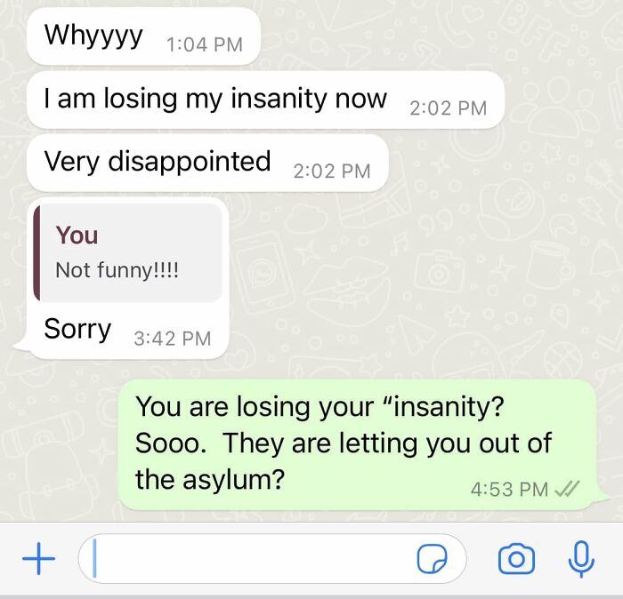 A screenshot of a WhatsApp conversation where someone is corrected online for their use of the word 'insanity.'