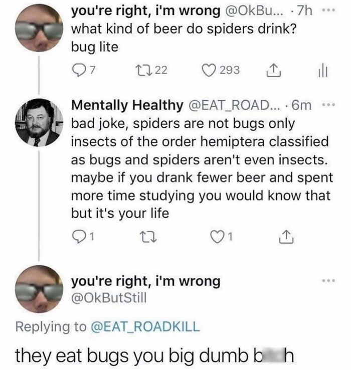 A social media thread where a user corrects another online about spiders not being bugs, demonstrating a satisfying correction.