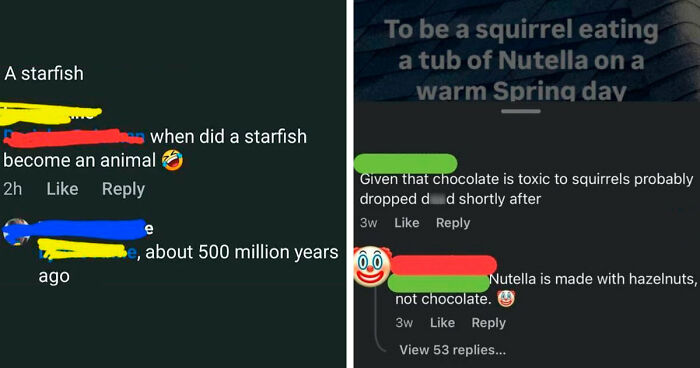 79 Times People Had The Pleasure Of Correcting Someone Online In The Most Satisfying Way