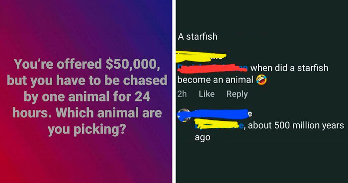 79 Times People Had The Pleasure Of Correcting Someone Online In The Most Satisfying Way