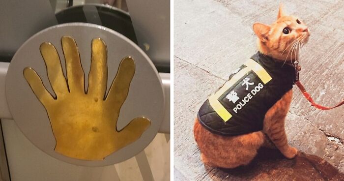 93 Ridiculous “You Had One Job” Fails That Prove Common Sense Isn’t All That Common