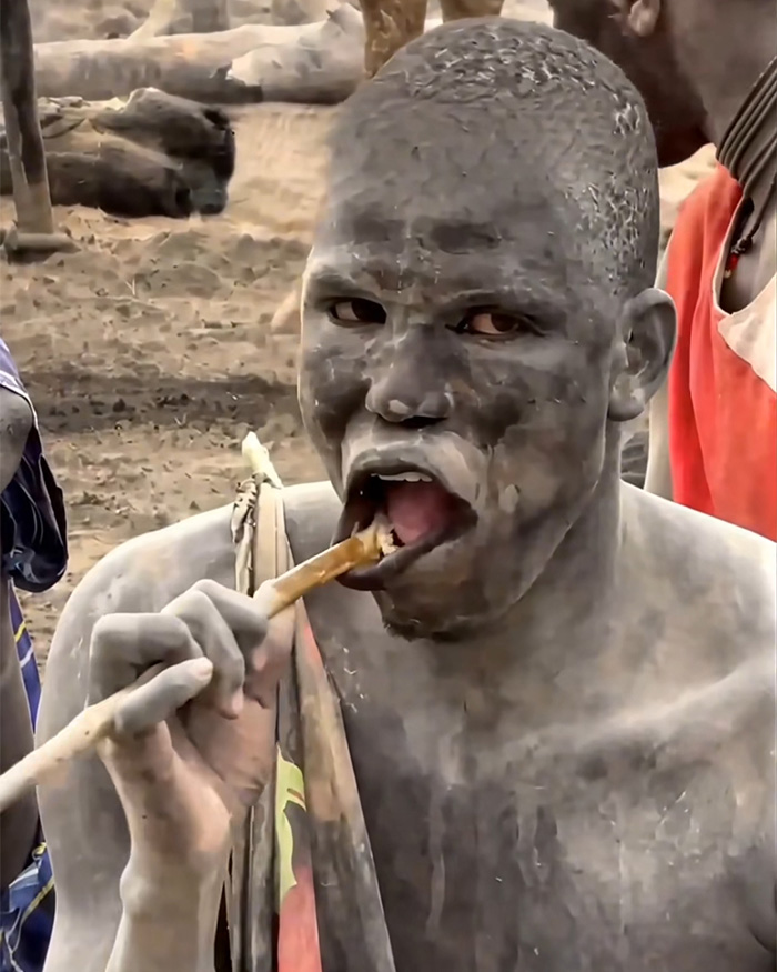 An individual covered in mud uses an African twig to clean teeth, seeking a white smile. An individual covered in mud uses an African twig to clean teeth, seeking a white smile.