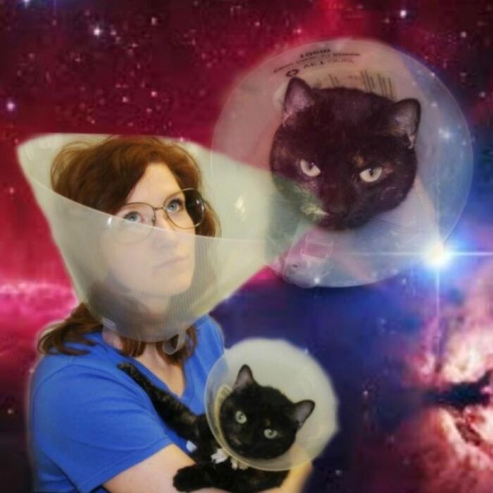 A woman and two cats wearing cones of shame, superimposed on a space background, creating a ridiculous animal photo.