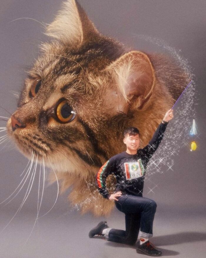 A man with a magic wand and a giant cat head in the background, one of the funniest animal photos.