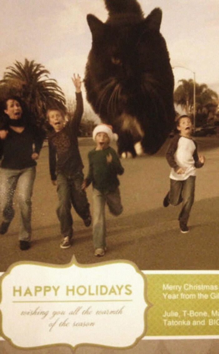 A giant cat chasing people down a street, one of the most ridiculous animal photos.