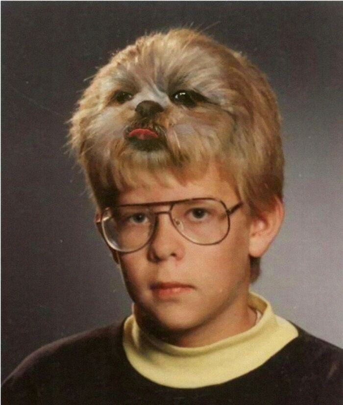 A boy with a dog face superimposed on his head, showcasing funny animal photos.