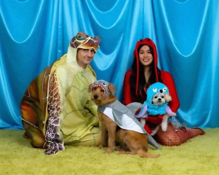 A family with two adults and two dogs wearing funny animal costumes, a turtle, a lobster, a shark, and a mermaid.