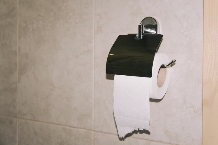 A toilet paper roll on a holder, a common item related to ridiculous problems HR encounters.