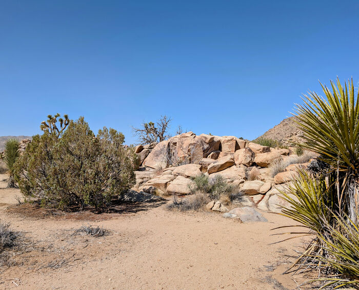 The Mojave Desert landscape with rugged rocks and sparse vegetation, hinting at ancient American history. The Mojave Desert landscape with rugged rocks and sparse vegetation, hinting at ancient American history.