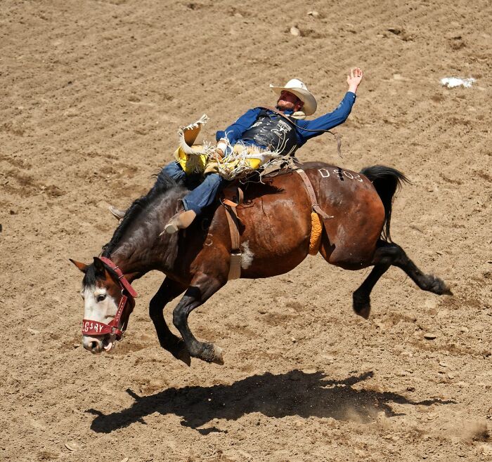 A cowboy rides a bucking horse at a rodeo, demonstrating phrases that crack people up.