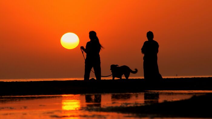 Silhouette of a person walking a dog, another person standing, against a vibrant movie and TV sunset backdrop. Silhouette of a person walking a dog, another person standing, against a vibrant movie and TV sunset backdrop.