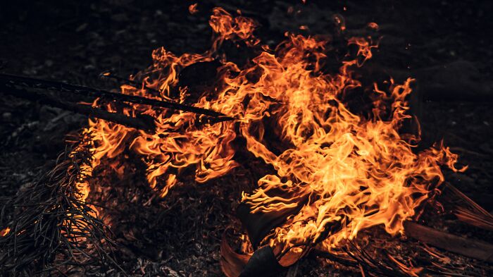 Bright orange flames from a campfire, symbolizing different family versions of normal experienced by kids.