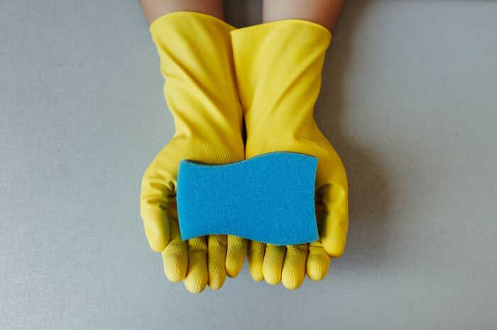 A pair of gloved hands holding a sponge, illustrating fascinating things about the world.