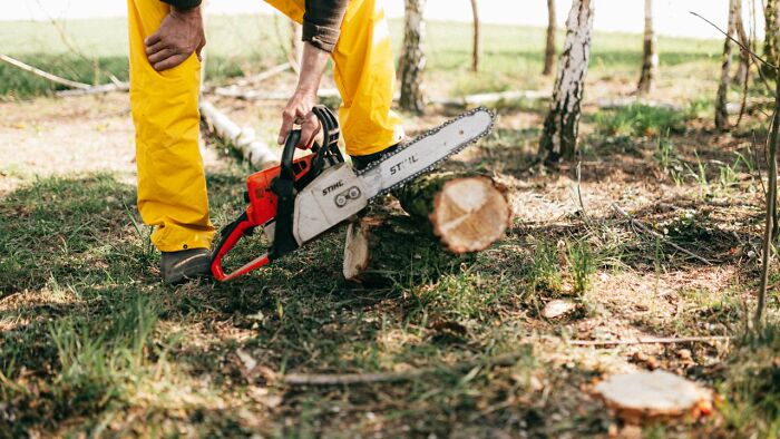 A person in yellow pants using a chainsaw to cut a log, illustrating disturbing facts.