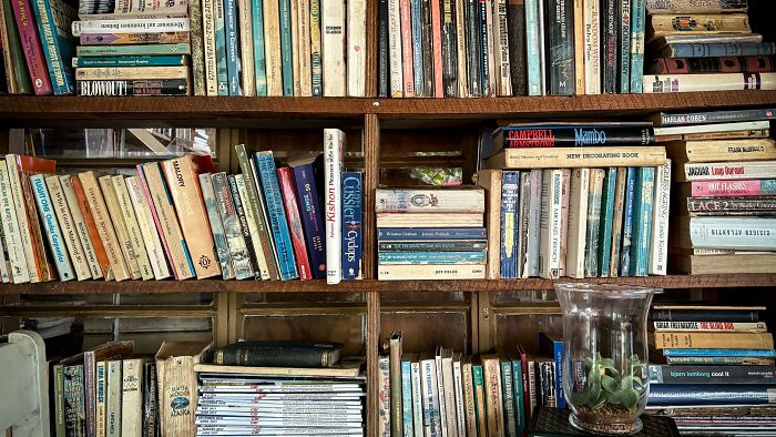 A bookshelf filled with various literature books, some old and worn, highlighting the history of Frankenstein and Dracula. A bookshelf filled with various literature books, some old and worn, highlighting the history of Frankenstein and Dracula.