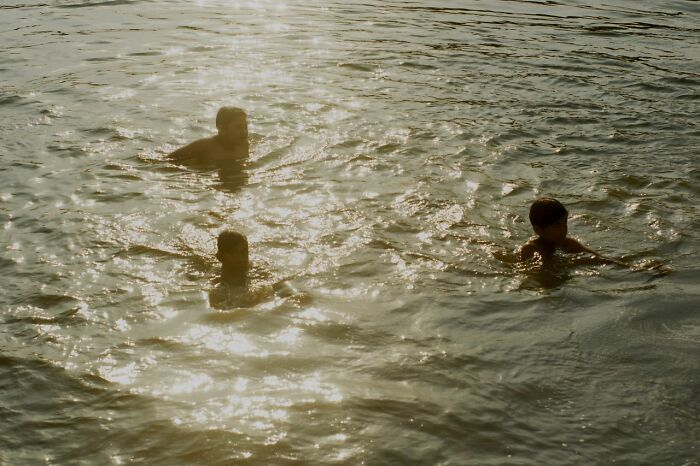 Three individuals swimming in sun-dappled water, their instincts telling them to get away from creeps.