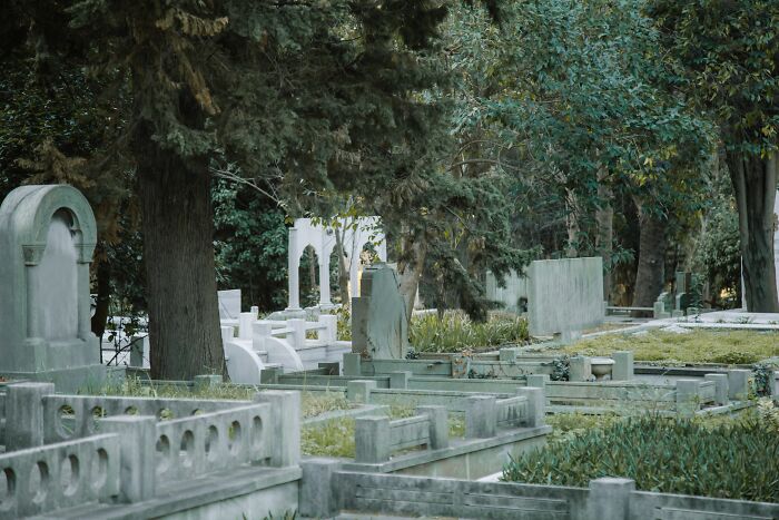 An eerie, overgrown cemetery with old gravestones and trees, a place where parents were terrified to walk alone.