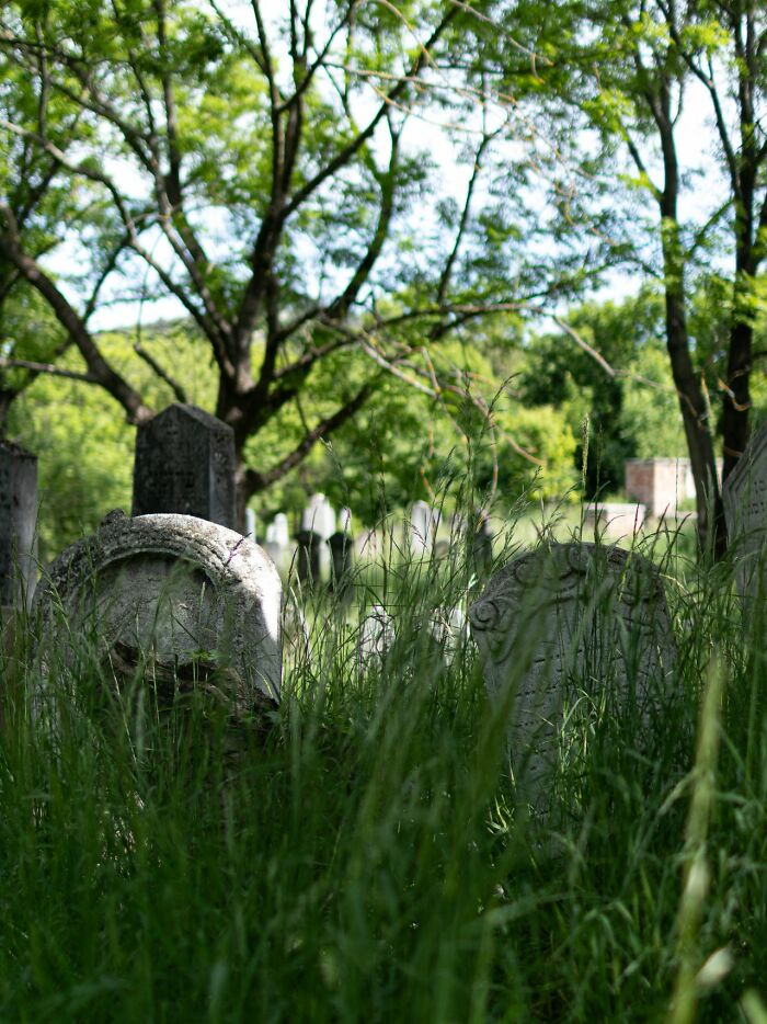 A graveyard with old tombstones surrounded by tall green grass and trees, illustrating 'white phrases' in a solemn setting.