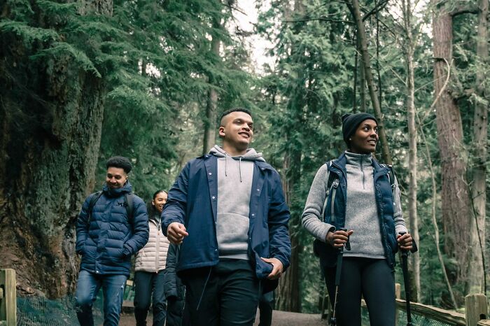 A group of diverse individuals hiking through a forest, their instincts telling them to get away from creeps.