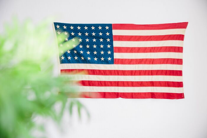 A US flag hangs on a white wall, partially obscured by green foliage, representing UK vs US vocabulary. A US flag hangs on a white wall, partially obscured by green foliage, representing UK vs US vocabulary.