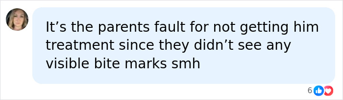 Social media comment blaming parents for not seeking treatment after a bat incident, despite no visible bite marks. Social media comment blaming parents for not seeking treatment after a bat incident, despite no visible bite marks.