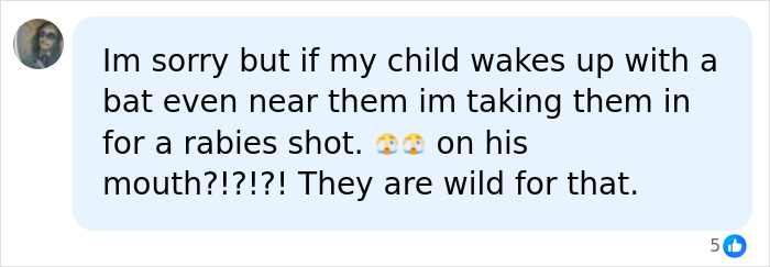 Comment from a social media user expressing concern about a child waking up to a bat and seeking immediate rabies treatment. Comment from a social media user expressing concern about a child waking up to a bat and seeking immediate rabies treatment.