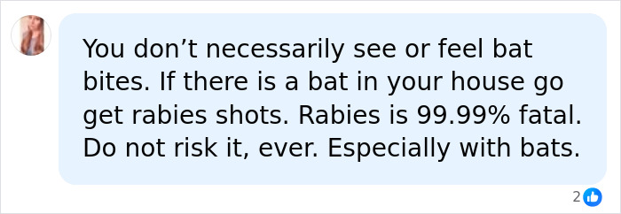 Online comment advising immediate rabies shots if a bat is found in the house due to the high fatality rate of rabies. Online comment advising immediate rabies shots if a bat is found in the house due to the high fatality rate of rabies.